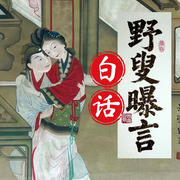 野叟曝言|白话|：清代第一奇书|三百年前的王炸小说--珺月