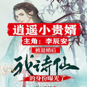 逍遥小贵婿|李辰安穿越免费-佚名-有声读物精选