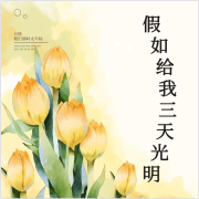 假如给我三天光明--海上晚舟-