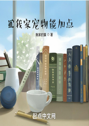 我家宠物能加点-我家的猫-轻舟飞飏_次元口袋