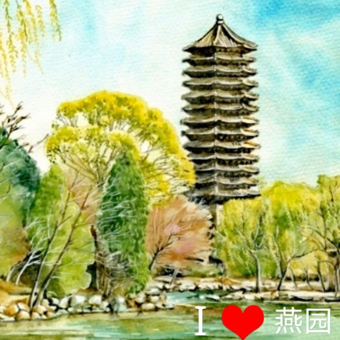 北大往事：最后的八十年代-佚名-非人呈现