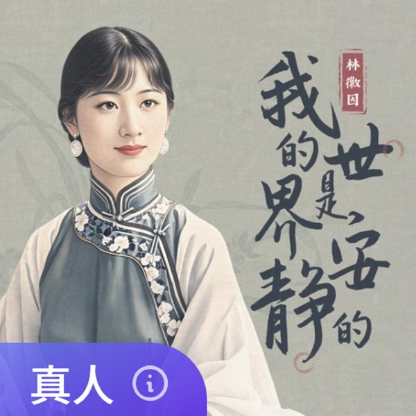 我的世界是安静的|林徽因文集