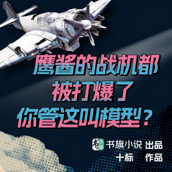 鹰酱的战机都被打爆了，你管这叫模型