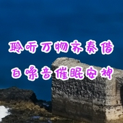 聆听万物齐奏，借白噪音催眠安神-佚名-主播点阅有声