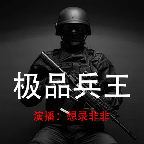 极品兵王|想录非非演播
