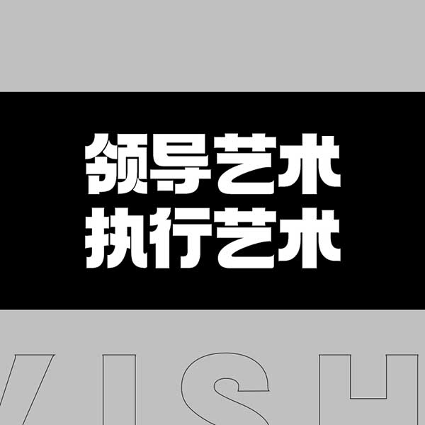 领导艺术—执行艺术
