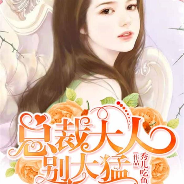 总裁大人别太猛