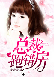 总裁跑错房-麦告告-如画