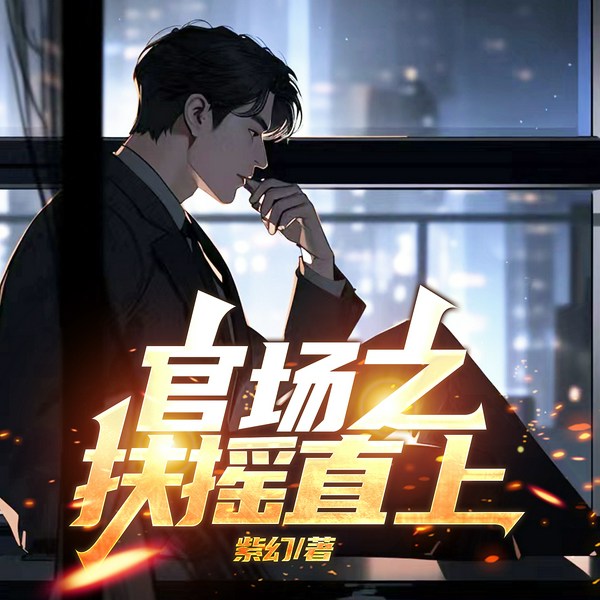 官场之扶摇直上