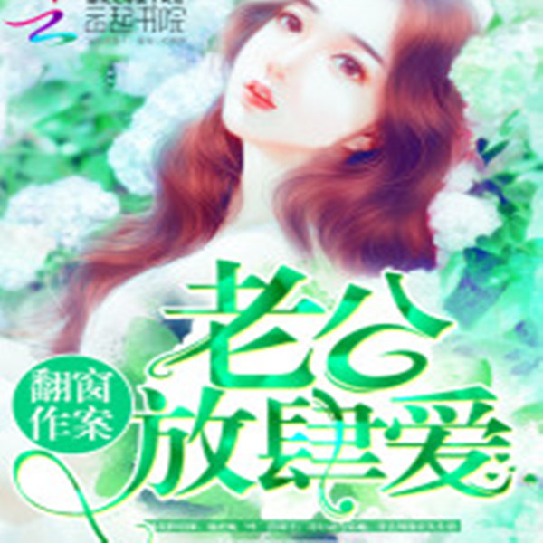 翻窗作案：老公，放肆爱！