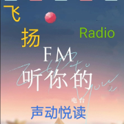 声动阅读--凌文 radio-佚名