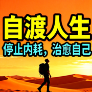 自渡人生：停止内耗，治愈自己-随遇而安-书曌有声
