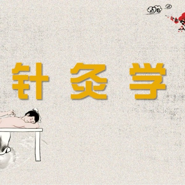 针灸学|天津中医药大学（石学敏