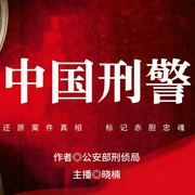 中国刑警：探案悬疑要案故事丨100集免费