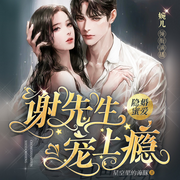 隐婚密爱：谢少宠上瘾|甜宠日常 | 欢喜冤家-佚名-沐婉