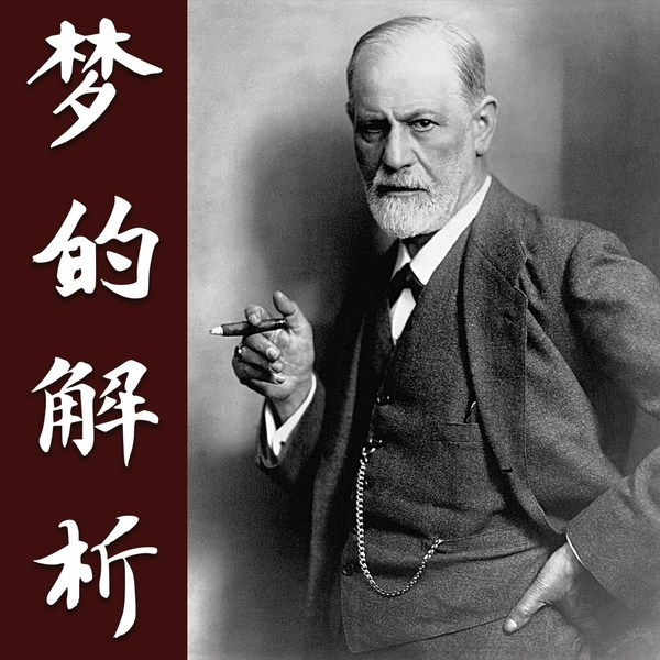 梦的解析|弗洛伊德|最佳译本 全集