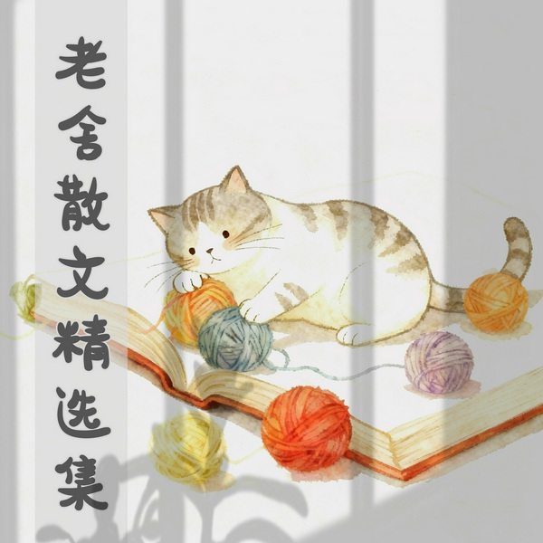 老舍散文精选集|又见清风儿演播