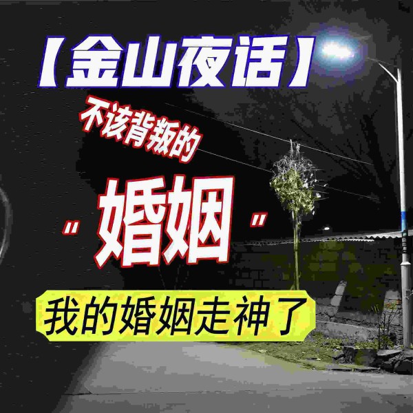 金山夜话著名婚姻情感夜话节目全集