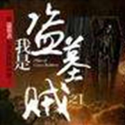 我是个盗墓贼--白云云-佚名