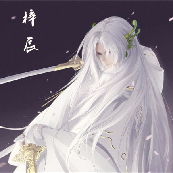 梓辰时间