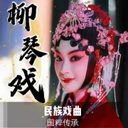 柳琴戏|拉魂腔|曲艺欣赏》民族戏曲|国潮复兴-佚名-齐疯有声