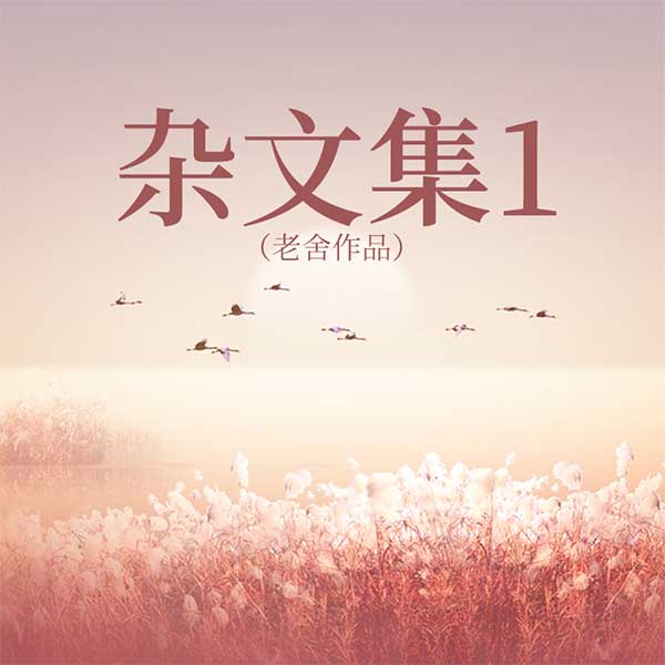杂文集(1)|老舍作品