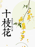 十枝花-朱婷婷，施二九-朱婷婷（黄梅戏演员）