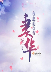 妻华-夜惠美-
