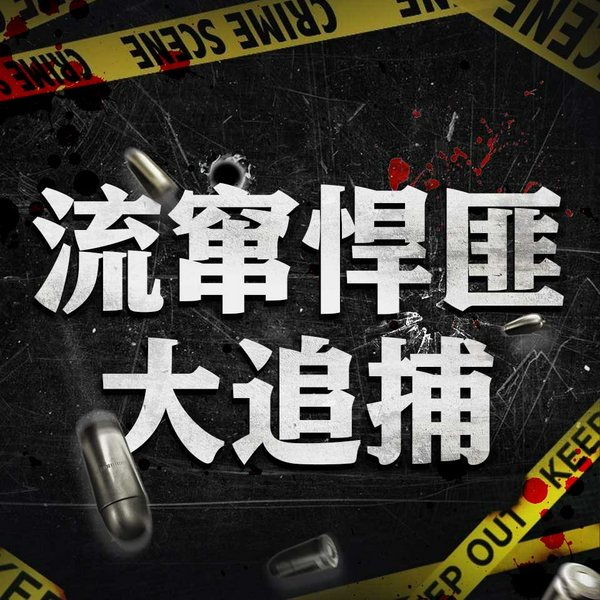 疑犯追踪：扰动中国的流窜悍匪大追捕|劳枝荣白宝山伍勇