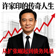 许家印的传奇人生--墨宝艺海