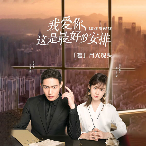 我爱你，这是最好的安排|张彬彬、郑合惠子主演同名网剧