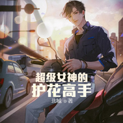 超级女神的护花高手-佚名-小酷说书