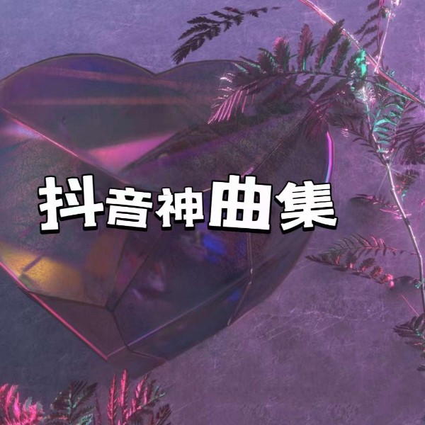 抖音神曲集