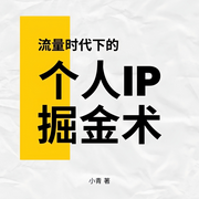 流量时代下的个人IP掘金术-小青-BookDNA