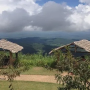 泰国|梦秸-佚名-恋景学院