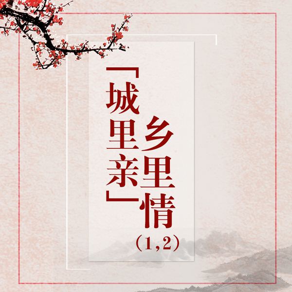 黄梅戏:城里亲乡里情