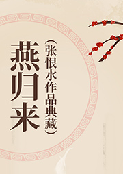 燕归来张恨水作品典藏