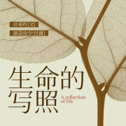 生命的写照-拉麦昨-游兮创意文化