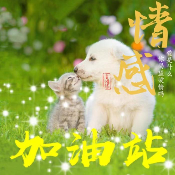 情感加油站