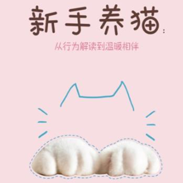新手养猫:从行为解读到温暖相伴