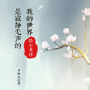 陆小曼传:我的世界是寂静无声的