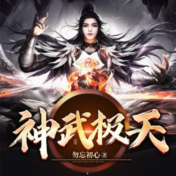 神武极天