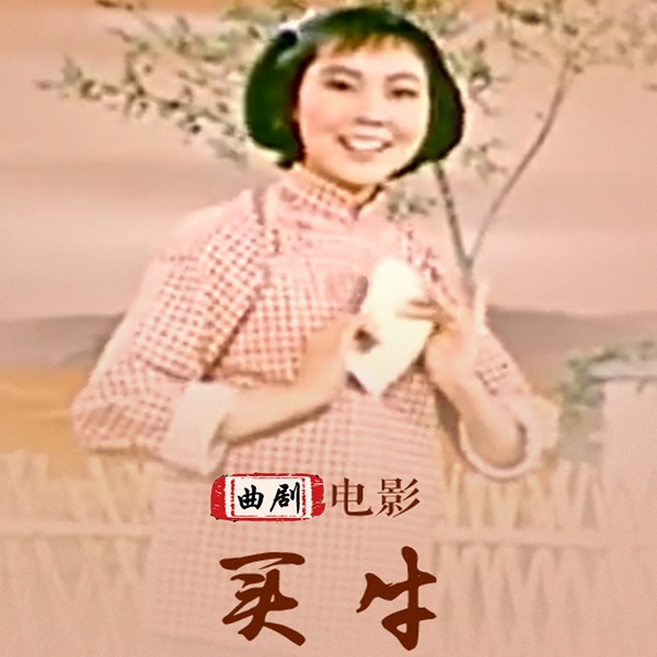 买牛|曲剧电影|张新芳主演