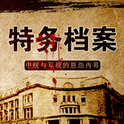 特务档案：中统军统恩怨内幕|戴笠陈立夫-佚名-大吕说文史