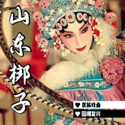 山东梆子|曲艺欣赏》民族戏曲|国潮复兴-佚名-齐疯有声