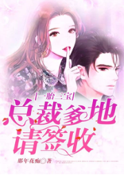 一胎三宝：总裁爹地请签收-那年花痴-鸿达以太