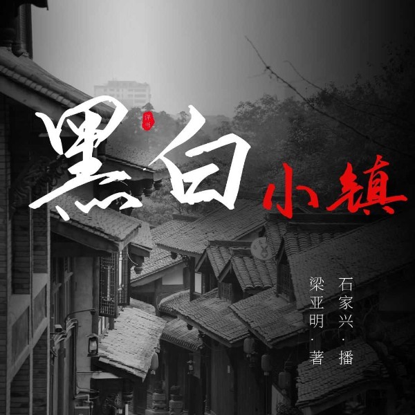 沿河镇传奇第三部:黑白小镇
