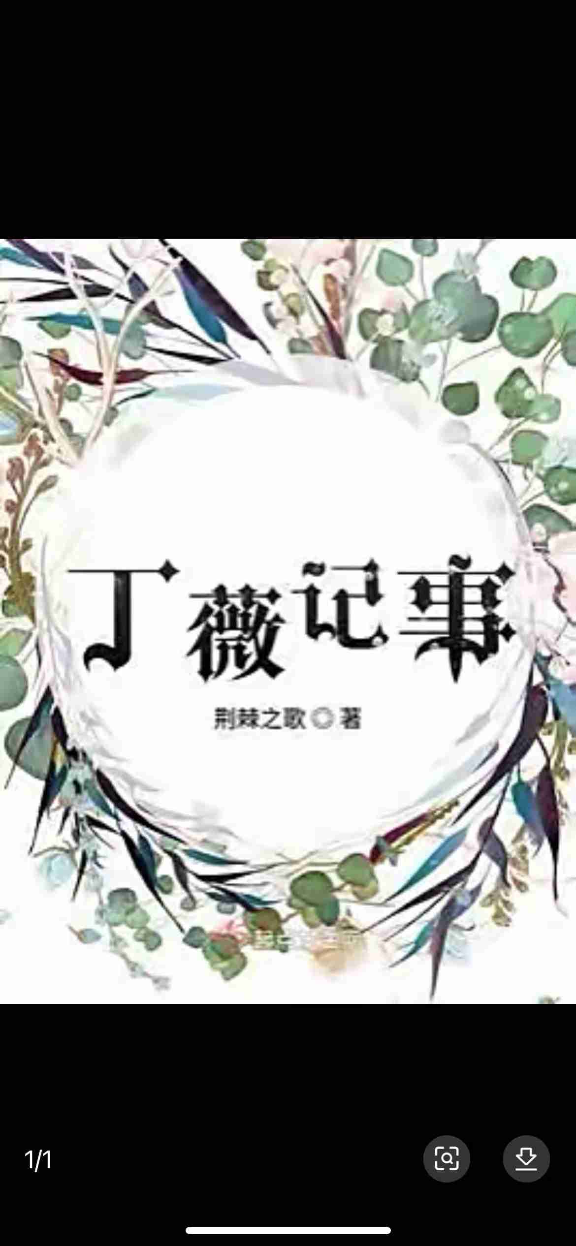 丁薇记事--文绣娘娘-姑姑-