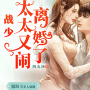 战少，太太又闹离婚了-肉丸汤-畅读书城，傲瑄