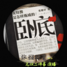 卧底--无双二师弟-
